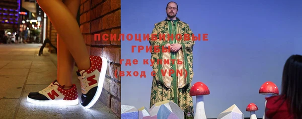 стаф Алексеевка