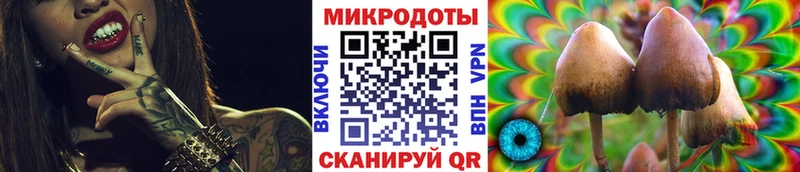Галлюциногенные грибы Psilocybe  Пикалёво 